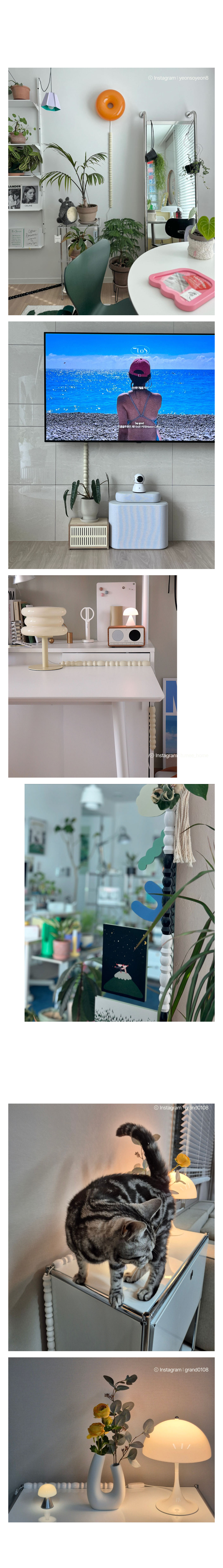Dorant Frame Molding 상세 이미지 5